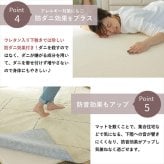 ラグ カーペット クッションマット マット 170×170cm ピタリ プラス すべり止め 下敷き 滑り止め 手洗い 防音マット 防音 防ダニ加工 ホット 対応 床暖房対応 ウレタン入り下敷き 保温性 下 絨毯下 便利 無地 ホワイト オールシーズン