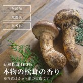 松茸 生松茸 冷凍 500g 1000g 1500g 1×2cm 1×1cm チップ 洗浄済み そのまま使える 松茸ご飯やお吸い物・茶碗蒸しにも 生冷凍 高級料亭 マツタケ まつたけ 秋の味覚 無農薬 無添加 天然 中国産