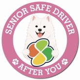 カーサイン 高齢者マーク SENIOR SAFE DRIVER 紀州犬 マグネット 強力 直径13cm 肉球 日本製 車 ステッカー