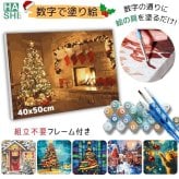 数字塗り絵 大人の塗り絵 ナンバーペイント数字入り 塗り絵 脳トレ 趣味 おうち時間 絵画キット アート 癒し プレゼント 誕生日 母の日 父の日 敬老の日 【無料ラッピング】【送料無料】