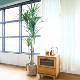 観葉植物 造花 ユッカ BROWN 全高約210cm 大型 フェイクグリーン 高級 本物そっくり リアル おしゃれ スタイリッシュ インテリア 人工観葉植物 アーティフィシャルグリーン モダン オフィス 店舗 ホテル 開店祝い 室内 リビング 玄関 風水 青年の木
