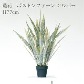 観葉植物 造花 ボストンファーン シルバー BROWN 全高約77cm 卓上・小型 フェイクグリーン 本物そっくり おしゃれ インテリア 人工観葉植物 アーティフィシャルグリーン オフィス 店舗 ホテル 開店祝い 室内 ミニ シダ タマシダ フェイク