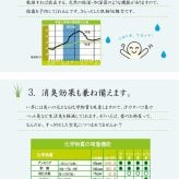 夏ラグ 夏用カーペット い草ラグ カーペット ラグ 6畳 はっ水 『撥水ラスター』 約240×320cm (中:ウレタン8mm）
