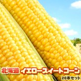 イエロースイートコーン 北海道 とうもろこし 20本入 送料無料 ※沖縄は送料別途加算