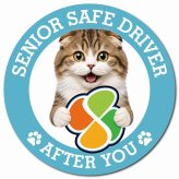 カーサイン 高齢者マーク SENIOR SAFE DRIVER ハイランドフォールド マグネット 強力 直径13cm 肉球 日本製 車 ステッカー