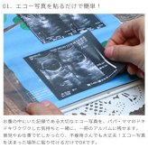 はらぺこあおむし アルバムしかけ絵本 「たんじょうものがたり」 | エコー写真 保存 エコーアルバム おたんじょうきろく 写真 赤ちゃん ベビー