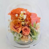 プリザーブドフラワー／オレンジの大輪の薔薇と小花のクリアドームギフト