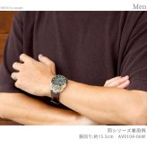 シチズン プロマスター LANDシリーズ Eco-Drive 50周年限定 TSUNO CHRONO ツノクロノ 腕時計 メンズ 数量限定 ソーラー CITIZEN PROMASTER AV0104-06W