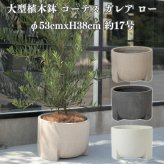 植木鉢 おしゃれ 大型 φ53cmxH38cm 17号 円柱 脚付き 低型 セメント コンクリート調 テラゾ KONTON コーテス ガレア ロー ファイバーセメント 軽量 底穴あり 屋外 L セメント グレー ホワイトテラゾ 観葉植物 シンボルツリー 北欧 モダン ナチュラル インテリア