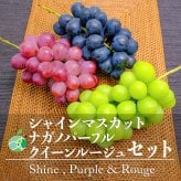 長野県産 シャインマスカット ナガノパープル クイーンルージュ 各2房 【6房】 ｜ 1房約450-500g ｜ ぶどう 国産フルーツ 贈答用 ギフト プレゼント