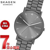 スカーゲン SKAGEN 腕時計 メンズ 三針 SIGNATUR ガンメタル  SKW6951【2026 新作】