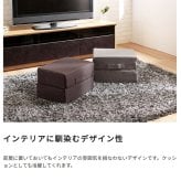 \クーポン配布中/ トレーニング用品 エクササイズ グッズ ミズノ mizuno トランポリン ラパン TRAMPOLINE lapin 体幹 フィットネス 室内用 宅トレ 全身運動 日本製 グレー ブラウン カバー洗濯可 折りたたみ クッション です