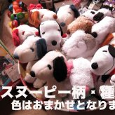 母の日 プレゼント スヌーピー入り 花 ダイヤモンド レインボーローズ入り 箱を開けてサプライズ スヌーピー入り 横長ボックス プリザーブドフラワー入り ◆スヌーピーカラーはお任せとなります