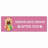 カーサイン 高齢者マーク SENIOR SAFE DRIVER ノーリッチテリア ステッカー シール 長方形 15x5cm 肉球 日本製 車