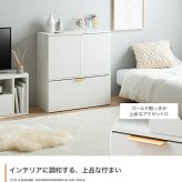 推し活 棚 推し活収納 キャビネット チェスト ラック 収納 推し 飾る 大容量 スリム 薄型 コンパクト 省スペース 扉付き 可動 ワゴン 仕切り キャスター リビング 隠す収納 隠せる 一人暮らし ワンルーム 本