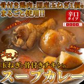 富良野市場 ゴロッと玉ねぎと骨付きチキンのスープカレー 2袋 スープカレー 惣菜 温めるだけ レンチン ご飯のお供 おかず ポスト投函便
