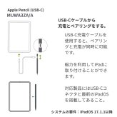Apple Pencil 純正アップルペンシル applepencil (usb-C) iPad ペン 国内正規品 本体 MUWA3ZA/A  JAN:4549995454017 OS システム条件:17.1.1以降以降  タッチペン #57319