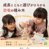 【名入れ】【かたち積み木】【出産祝い】【1歳誕生日プレゼント】【恐竜（ティラノサウルス・ステゴサウルス・トリケラトプス・ブロントサウルス）】【4個セット】木のおもちゃ/木製玩具/無塗装/ごっこあそび/収納袋入り/赤ちゃん/男の子/女の子 『ブロットプロジェクト|PICTO TSUMIKI - The Jurassic』