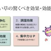 夏ラグ 夏用カーペット い草 上敷き い草上敷 はっ水 カーペット 無地 『撥水 湖水』 江戸間4.5畳(約261×261cm）