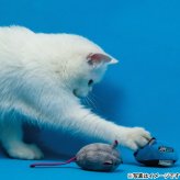 ジョイサー JOYSER サウンドチップマウス ブルー 猫用おもちゃ ブルー
