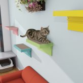 猫用爪とぎ 壁掛け 幅53cm 猫家具 日本製 完成品 arneco Board Nail aino 爪研ぎ キャットステップ 猫用家具 多頭飼い 運動不足対策 木製 ペット家具 猫用品 犬用品 省スペース リビング インテリア おしゃれ 北欧 シンプル