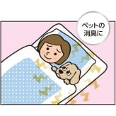 キンペックス KINPEX ふきとりワン ペットボディタオル