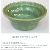 Aukatz オーカッツ ヘルスウォーター にゃんマグ