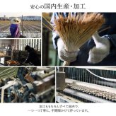 夏ラグ 夏用カーペット ラグ い草 国産 純国産 日本製 モダン 抗菌防臭 自然素材 パッチワーク 約191×250cm
