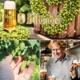敬老の日 おじいちゃん おばあちゃん ビールギフト3本 飲み比べセット【無料 リボンラッピング メッセージカード】ドイツビール 330ml 3種  海外ビール 輸入ビール 詰め合わせ ビールセット 御祝 お返し ギフト箱付 熨斗対応 50代 60代 70代 送料無料