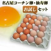 名古屋コーチン卵仙寿卵お試しセット（破損保証2個を含む）【送料無料（北海道・沖縄を除く）】