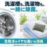 2個セット 洗濯槽 掃除 カビ取り カビ予防 生乾き 入れるだけ 除菌 消臭 汚れ取り 約3か月持続 生乾き臭 洗濯 ドラム式洗濯機 縦型洗濯機 ステンレス漕 / コジット 洗濯槽のカビにヨードのチカラ 1個入