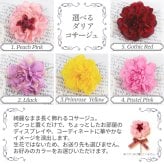 DIOR(ディオール) 【ギフトセット】ネイル リムーバー アブリコ 50 mL + クレーム アブリコ 8g (ダリアコサージュ付)　コスメ 化粧品 デパコス ギフト プレゼント ブーケ 高級　母の日 ホワイトデー クリスマス 誕生日 セット キット コフレ 感謝　彼女 年齢　20代　30代　40代　50代　記念日 就職祝い 入学祝い ママ お母さん 姉 妹 娘インスタ映え 大人