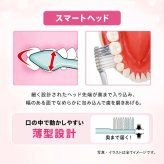 エビス ゼロプレミアムケア ハブラシ スマートレギュラー 12本 (B-3652M) ふつう【 EBiSU ZERO PREMIUM CARE 歯ブラシ 先端先細ヘッド 幅広 6列 2段植毛】