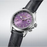 セイコー プロスペックス SEIKO PROSPEX アルピニスト メカニカル 自動巻き セイコー創業145周年記念限定 コアショップ限定 腕時計 江戸紫 HBC006J【2026 新作】
