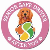 カーサイン 高齢者マーク SENIOR SAFE DRIVER アイリッシュセター マグネット 強力 直径13cm 肉球 日本製 車 ステッカー