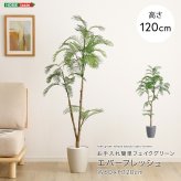 お手入れ簡単 フェイクグリーン エバーフレッシュ Sサイズ(120cm) 新築祝い 開店祝い