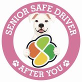 カーサイン 高齢者マーク SENIOR SAFE DRIVER ドゴアルヘンティーノ ステッカー シール 直径13cm 肉球 日本製 車
