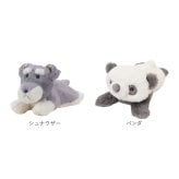 ぬいぐるみ マスコット 通販 手のひらサイズ 小さい ビーズ ビーズクッション ミニサイズ ぬい撮り ぬいどり 子供 子ども キッズ 癒し 動物 アニマル リストレスト 小学生 ふわふわ 猫 犬 ねこ インテリア雑貨 癒しグッズ 雑貨 贈り物 デスク飾り
