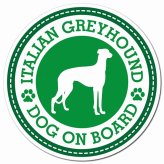 Italian Greyhound イタリアングレーハウンド グリーン 肉球 カーサイン 車 マグネットステッカー 犬 マグネット 強力 直径13cm 丸型 おしゃれ かわいい ドラレコステッカー 安全対策 危険運転 煽り運転 アニマル 動物 犬種別 屋外 防水 屋内 肉球マーク
