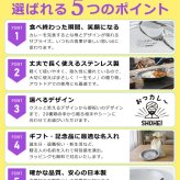 【名入れ×選べるデザイン20種】 カレー皿 名前入り ステンレスカレー皿 レギュラーサイズ または 大盛りサイズ から選択可/ 燕三条 日本製 楕円 オーバル 舟形 ステンレス 皿 割れない 軽い 昭和 レトロ 懐かしい 洋食 カレー屋 誕生日 還暦 退職 栄転 結婚祝 名入れギフト おしゃれ おもしろ プレゼント NEW26 lk