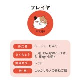 左右 違う 靴下 通販 日本製 クルーソックス 猫柄靴下 猫 ねこ ネコ ネコソックス レディースソックス おしゃれ靴下 クルー丈ソックス from F miau フロムエフミャウ かわいい オシャレ カジュアルソックス ギフト 贈り物 レディース靴下