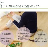 クッション 七島クッション 七島藺草 シート 『コート マチ付』 約40×40cm 2枚組