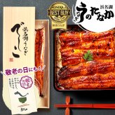 敬老の日 すぐ贈れるギフト 即日発送 うなぎ 国産 【浜松 浜名湖 うなぎのたなか】 誕生日 プレゼント 夏ギフト ギフト 鰻 蒲焼き 誕生日プレゼント グルメギフト 送料無料 お祝い グルメ 人気 内祝い ご褒美 でしこ deshiko 110～120g 1～3枚 うなぎのたなか 土用の丑 海鮮 食べ物 高級 40代 50代 60代 70代 80代
