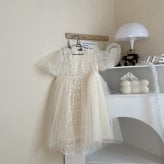 chiffon lace dress【ドレス】【誕生日】【アニバーサリー】レースドレス 記念日 ギフト プレゼント