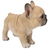 置物 woobia ウービア フレブル 立つ子犬のフレンチブルドッグ フォーン 幅17.8cm 子犬 リアル 本物そっくり イギリス生まれ 職人手彩色 縁起物 戌年 玄関 インテリア 新築祝い 引っ越し祝い 開店祝い 出産祝い 誕生日 お祝い ギフト プレゼント 犬好き フレンチブルドッグ好き