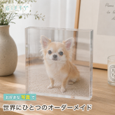 チワワ ガラスブロック 愛犬 ダックスフンド プレゼント 贈り物 サプライズ 写真立て うちの子記念日 記念品 ディスプレイ 飼い主 名入れ オーダーメイド ペット写真 メモリアル ペット仏壇 写真 感謝 高級 うちの子 フォトキューブ クリスタル 記念日 ペットグッズ 置き物 ペットメモリアル ポメラニアン 肉球 ペット オリジナル 愛猫家 メモリアルグッズ ギフト コーギー 小型犬【c01】
