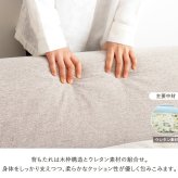 ソファ 座椅子 ロー ー かわいい ハイバック コンパクト 3人掛け 三人掛け 可愛い 白 ホワイト おしゃれ ロータイプ フロア 一人暮らし iw-198