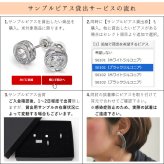 サンプルピアス貸出券
