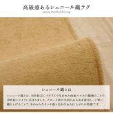ラグ 長方形 洗える 撥水 無地 シンプル 滑りにくい コンパクト  約200×250cm