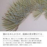 開運消災三桃図 園原游水 尺三幅 掛軸 縁起開運 掛け軸 花 かけじく 59×190cm TK06 桐箱 風鎮 防虫香 年中掛け 日本製 モダン 和室 玄関 床の間 飾り インテリア 新築 お祝い 贈り物 受注後生産商品